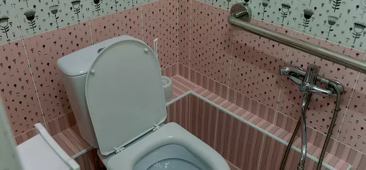 Meeting Diverse Needs With Accessible Restroom Solutions in Cottage Grove, MN